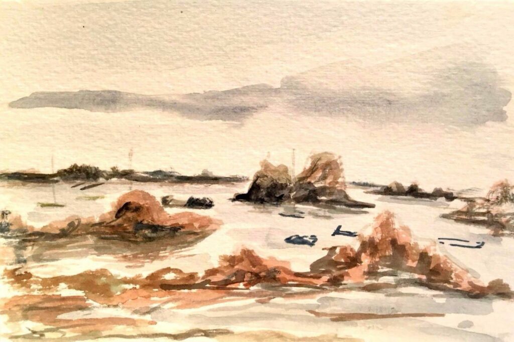 Bréhat - 2016